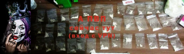 соль ск Заводоуковск