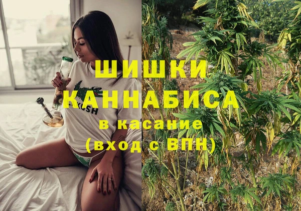 гашик Алзамай